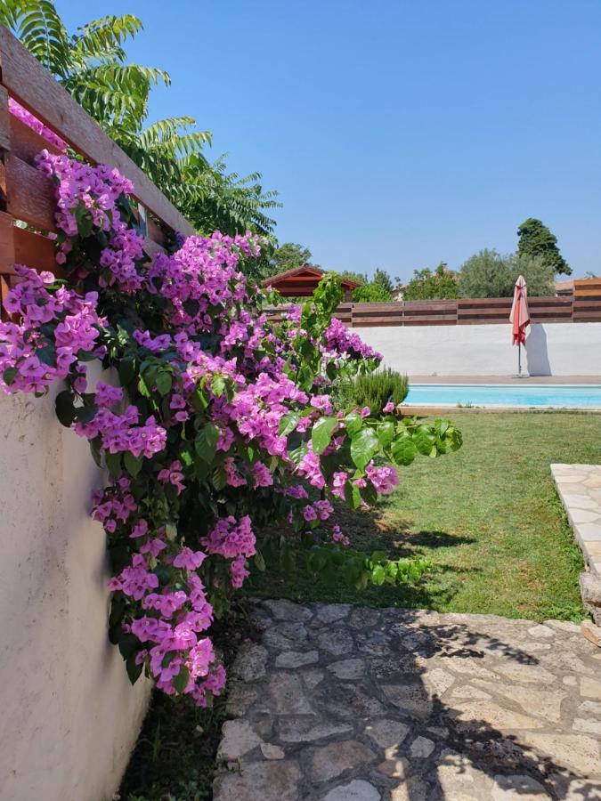 Istrska Kamnita Hisa Soncni Medulin Villa Buitenkant foto